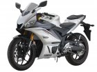 Yamaha YZF-R 25